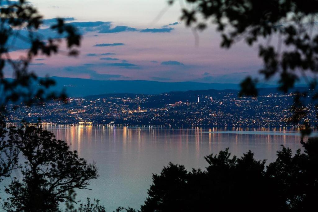 Le Garden - Ski - Vue Lac - Piscine - Parking - Evian - Thonon - Lugrin Buitenkant foto