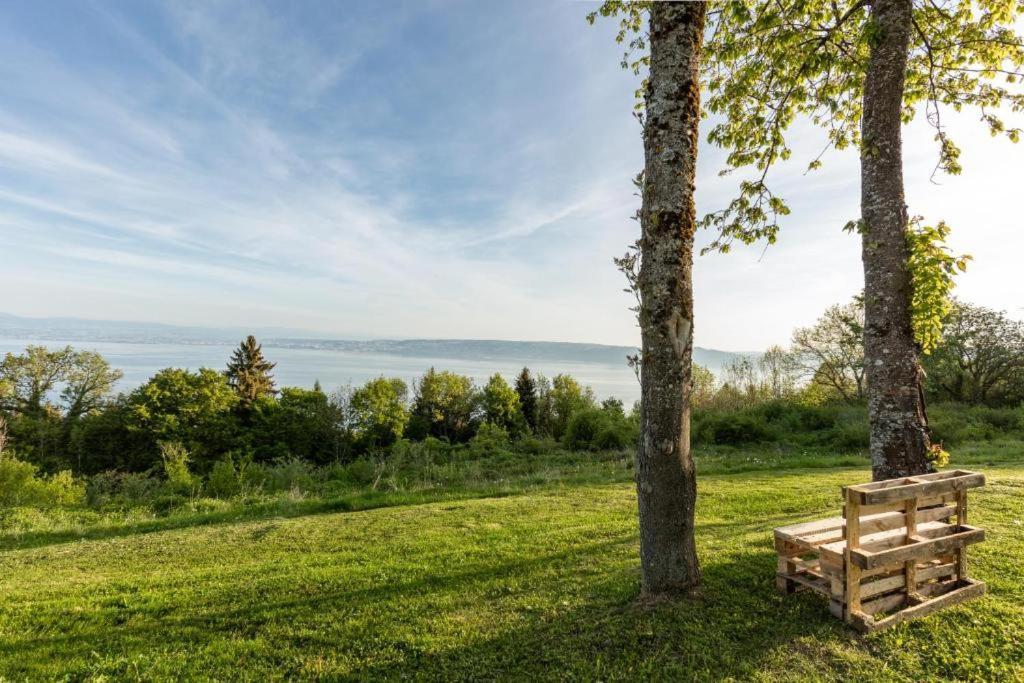 Le Garden - Ski - Vue Lac - Piscine - Parking - Evian - Thonon - Lugrin Buitenkant foto